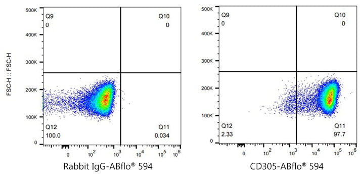 ABflo® 594 Rabbit anti-Human CD305/LAIR1 mAb