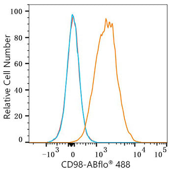 ABflo® 488 Rabbit anti-Mouse CD98 mAb