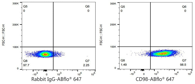 ABflo® 647 Rabbit anti-Mouse CD98 mAb