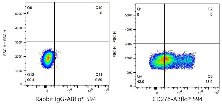 ICOS/CD278 Rabbit mAb
