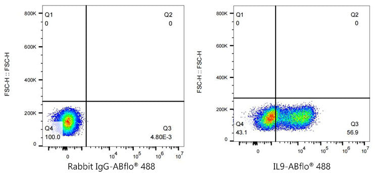 IL9 Rabbit mAb