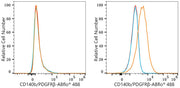 ABflo® 488 Rabbit anti-Human CD140b/PDGFRβ mAb