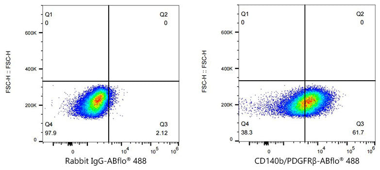 ABflo® 488 Rabbit anti-Human CD140b/PDGFRβ mAb