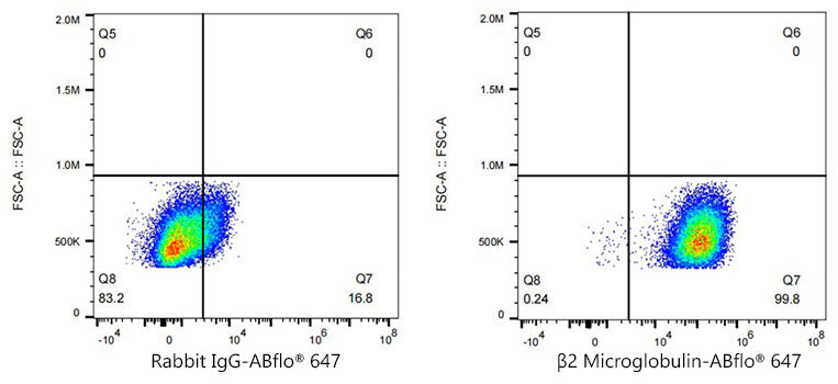 ABflo® 647 Rabbit anti-Human β2 Microglobulin mAb