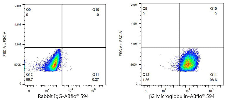 ABflo® 594 Rabbit anti-Human β2 Microglobulin mAb