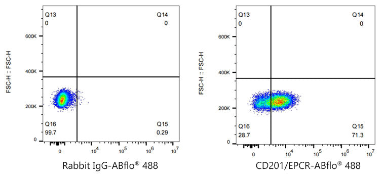 ABflo® 488 Rabbit anti-Human CD201/EPCR mAb