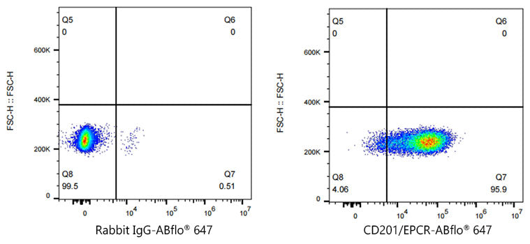 ABflo® 647 Rabbit anti-Human CD201/EPCR mAb