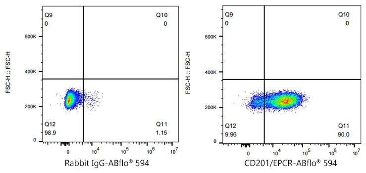 ABflo® 594 Rabbit anti-Human CD201/EPCR mAb