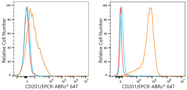 EPCR/CD201 Rabbit mAb