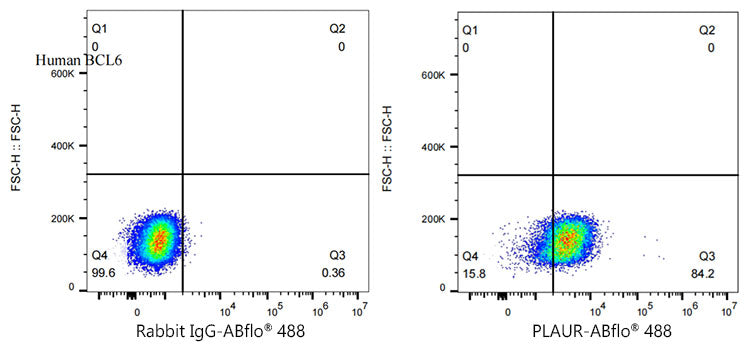 ABflo® 488 Rabbit anti-Human CD87/PLAUR mAb