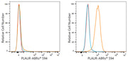 ABflo® 594 Rabbit anti-Human CD87/PLAUR mAb