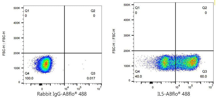 ABflo® 488 Rabbit anti-Human IL-5 mAb