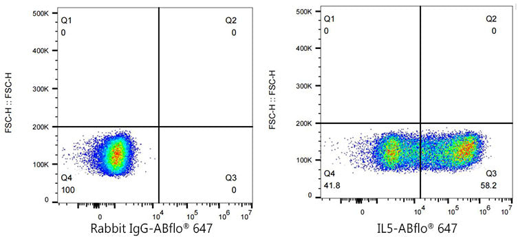 ABflo® 647 Rabbit anti-Human IL-5 mAb