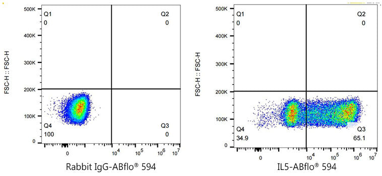 ABflo® 594 Rabbit anti-Human IL-5 mAb