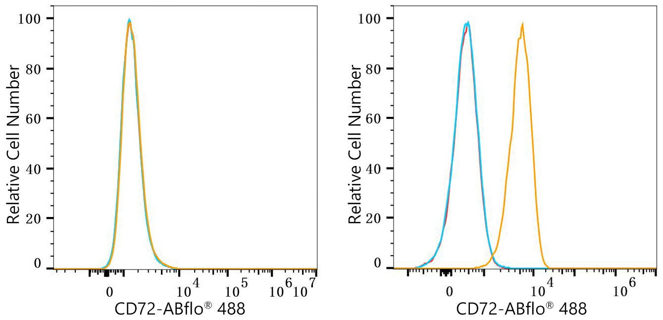 ABflo® 488 Rabbit anti-Human CD72 mAb
