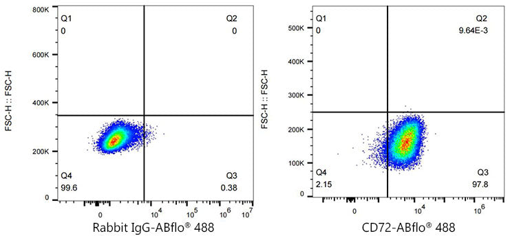 ABflo® 488 Rabbit anti-Human CD72 mAb