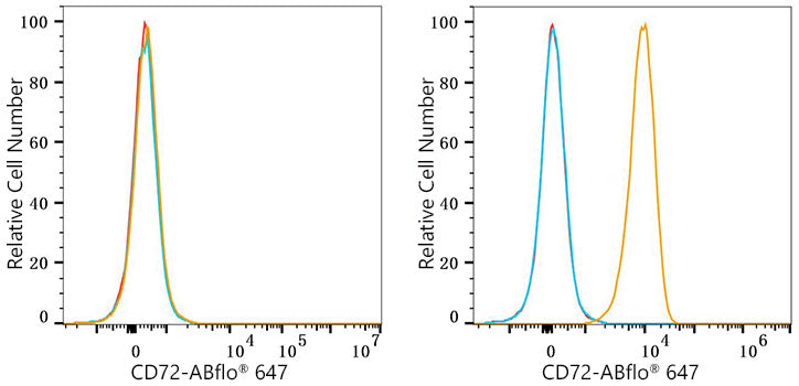 ABflo® 647 Rabbit anti-Human CD72 mAb