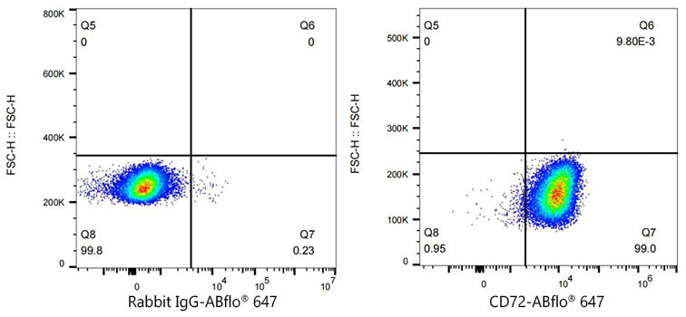 ABflo® 647 Rabbit anti-Human CD72 mAb