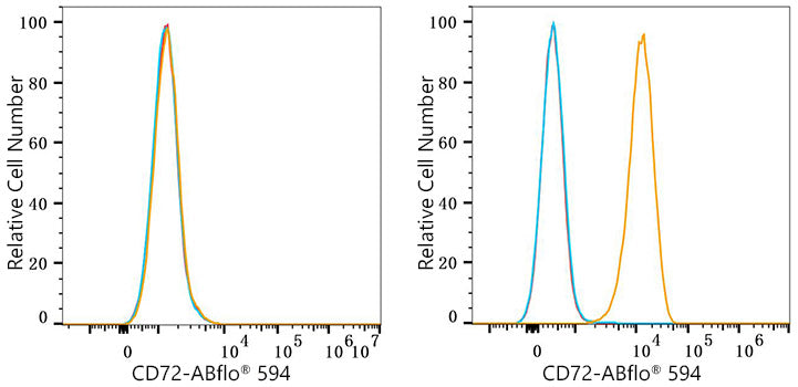 ABflo® 594 Rabbit anti-Human CD72 mAb