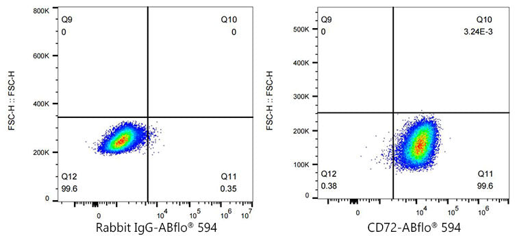 ABflo® 594 Rabbit anti-Human CD72 mAb