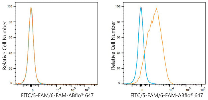ABflo® 647 Rabbit anti-FITC/5-FAM/6-FAM mAb