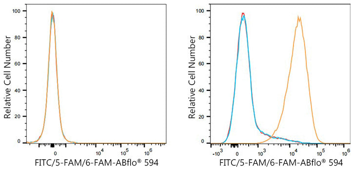 ABflo® 594 Rabbit anti-FITC/5-FAM/6-FAM mAb