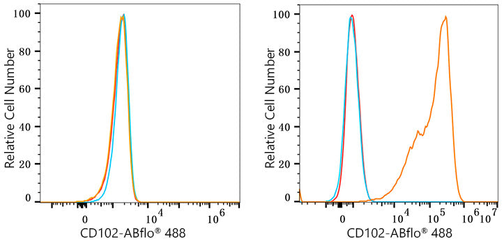 ABflo® 488 Rabbit anti-Mouse CD102 mAb