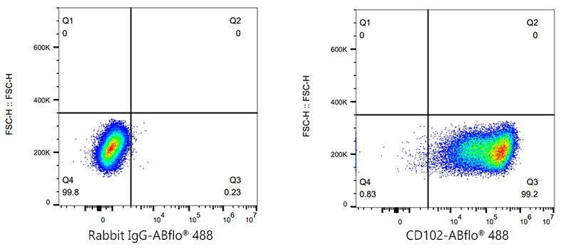 ABflo® 488 Rabbit anti-Mouse CD102 mAb