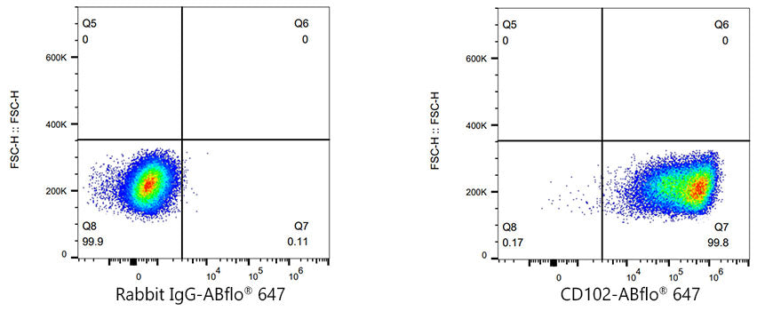 ABflo® 647 Rabbit anti-Mouse CD102 mAb