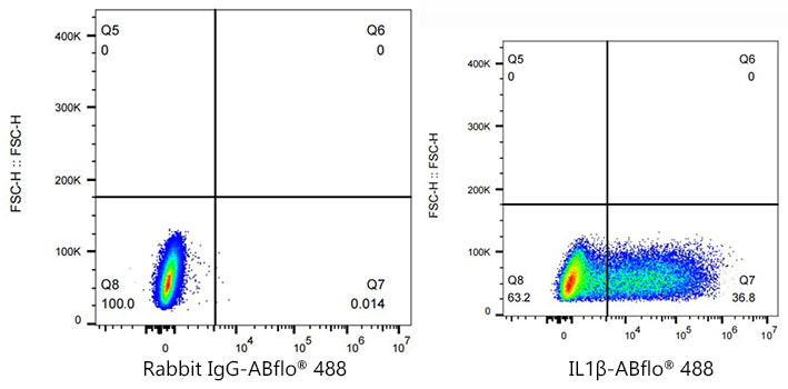 ABflo® 488 Rabbit anti-Human IL-1β mAb