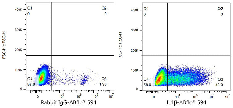 ABflo® 594 Rabbit anti-Human IL-1β mAb