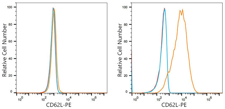 PE Rabbit anti-Human CD62L/L-Selectin mAb