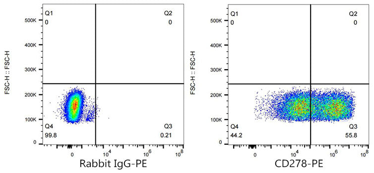 PE Rabbit anti-Mouse ICOS/CD278 mAb