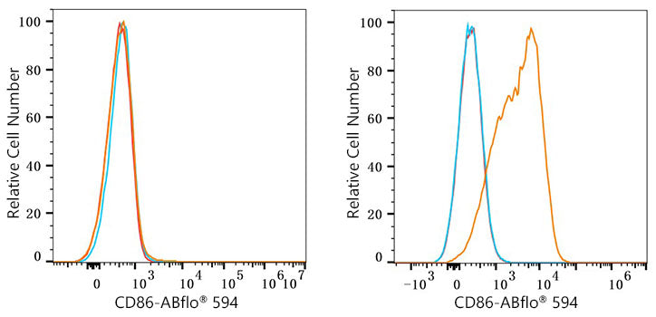 ABflo® 594 Rabbit anti-Human/Monkey CD86 mAb