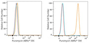 ABflo® 594 Rabbit anti-puromycin mAb