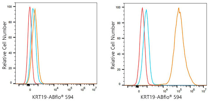 ABflo® 594 Rabbit anti-Human Cytokeratin 19 (KRT19) mAb