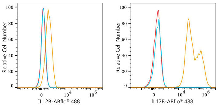 IL12B Rabbit mAb