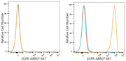 ABflo® 647 Rabbit anti-Human EGFR mAb