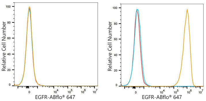 ABflo® 647 Rabbit anti-Human EGFR mAb