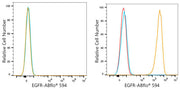 ABflo® 594 Rabbit anti-Human EGFR mAb