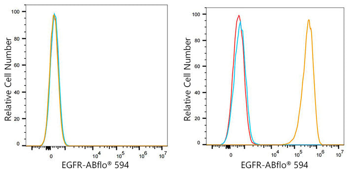 ABflo® 594 Rabbit anti-Human EGFR mAb