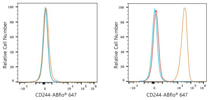ABflo® 647 Rabbit anti-Human CD244/2B4 mAb