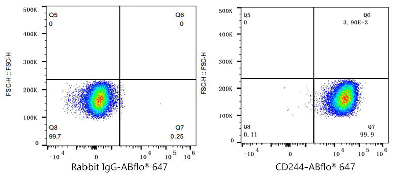 ABflo® 647 Rabbit anti-Human CD244/2B4 mAb