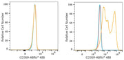 ABflo® 488 Rabbit anti-Human CD369/Dectin-1 mAb