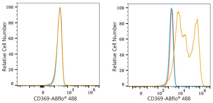 ABflo® 488 Rabbit anti-Human CD369/Dectin-1 mAb