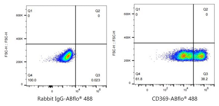 ABflo® 488 Rabbit anti-Human CD369/Dectin-1 mAb