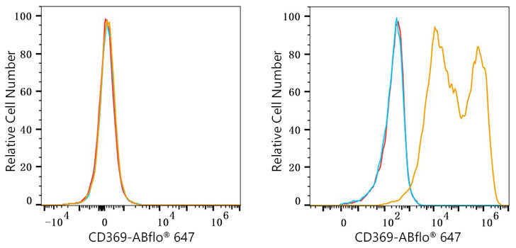 ABflo® 647 Rabbit anti-Human CD369/Dectin-1 mAb