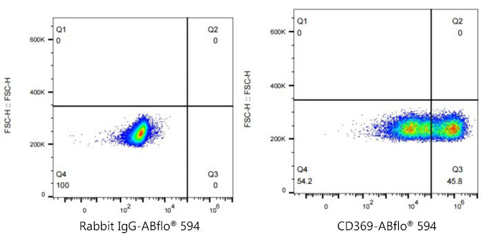 ABflo® 594 Rabbit anti-Human CD369/Dectin-1 mAb