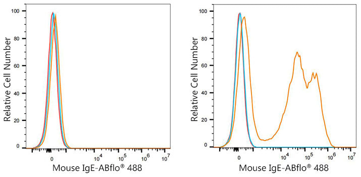 ABflo® 488 Rabbit anti-Mouse IgE mAb