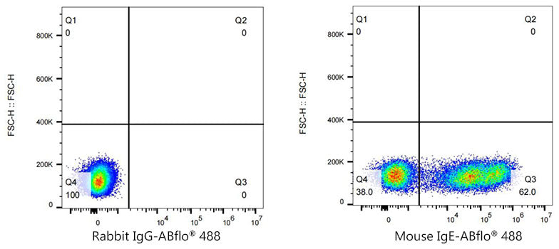 ABflo® 488 Rabbit anti-Mouse IgE mAb